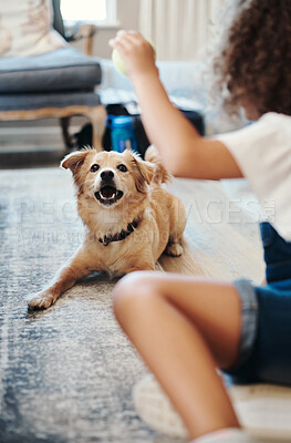 Buy stock photo Ball, child and dog on carpet with playing, relax and happy bonding together on floor with fun pet care. Kid, girl and playful puppy in living room with toys, fetch game and young friends in home