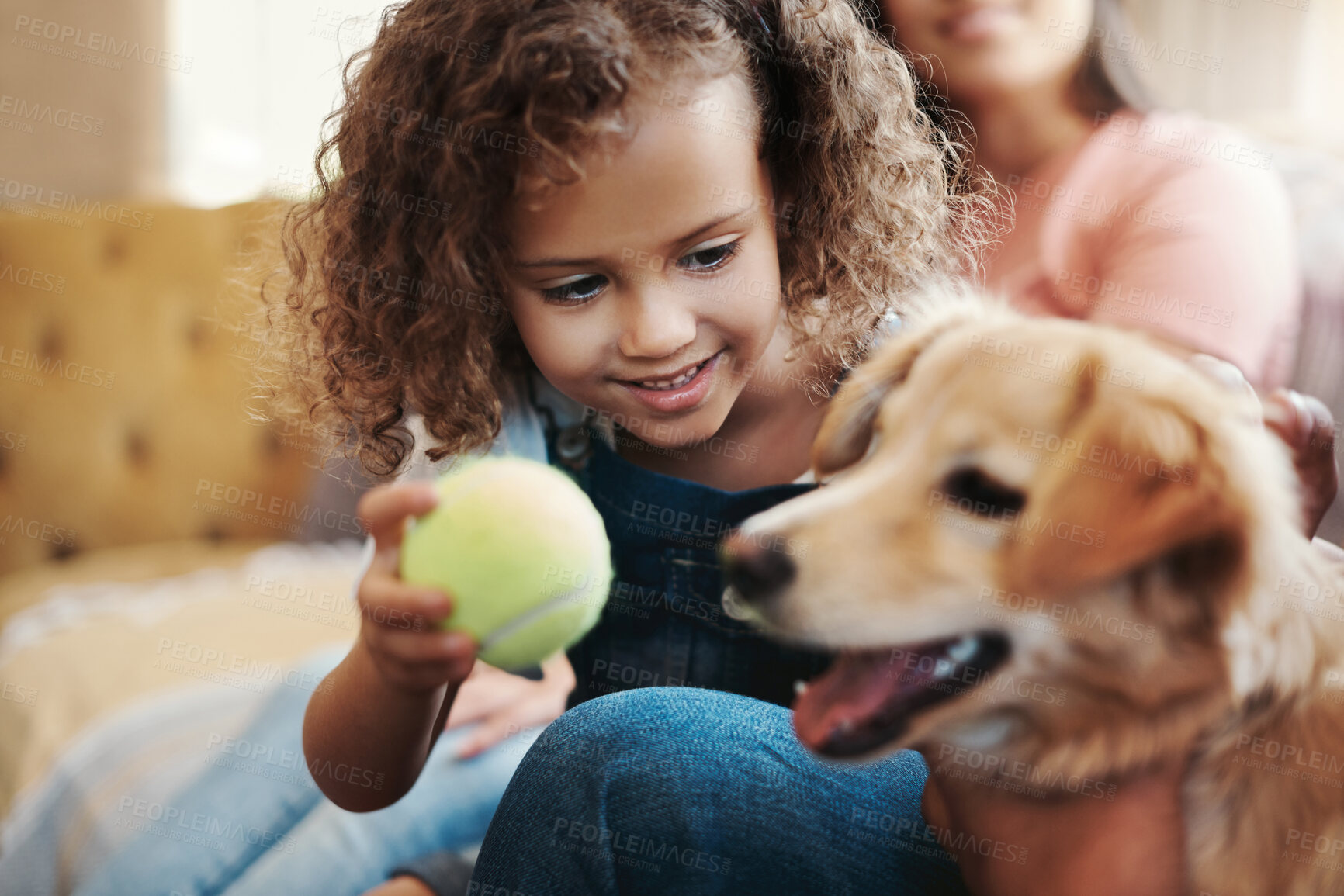 Buy stock photo Ball, family and kid in living room with dog, playing and morning bonding together on sofa in home. Parents, playful girl and puppy relax on couch with pet care, games and happy child development