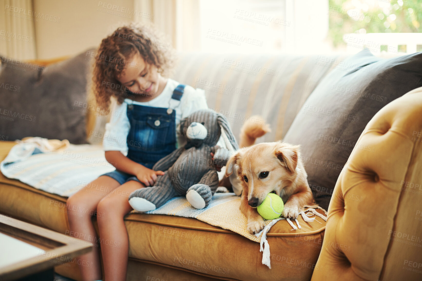 Buy stock photo Playing, child and dog on sofa with toys, relax and happy morning bonding together with young friends. Kid, girl and playful puppy on couch with ball, teddy bear and fun with pet care in living room.