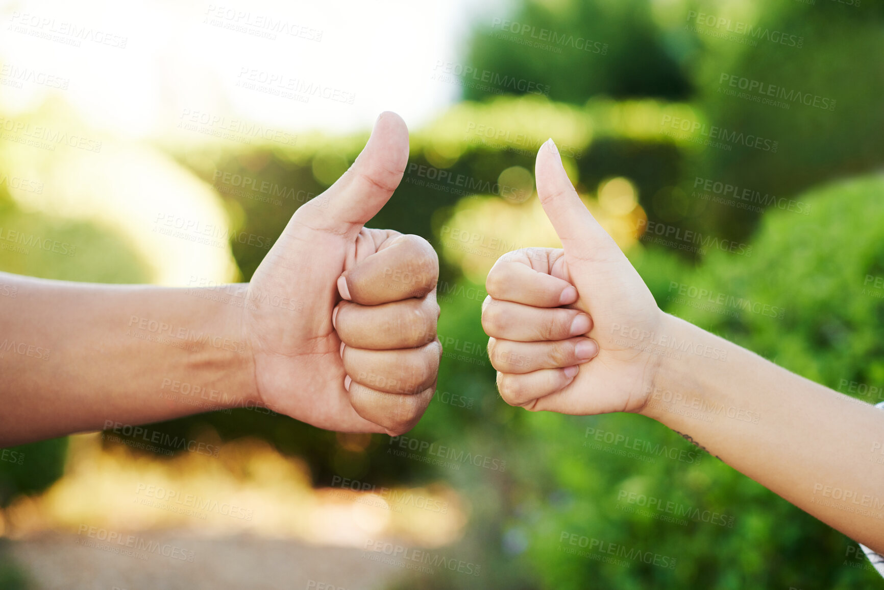 Buy stock photo Hands, thumbs up and support for good news, positive feedback or success in garden. Gesture, people and excited with yes for vote, choice or agreement in outdoor for thank you, winner or satisfaction