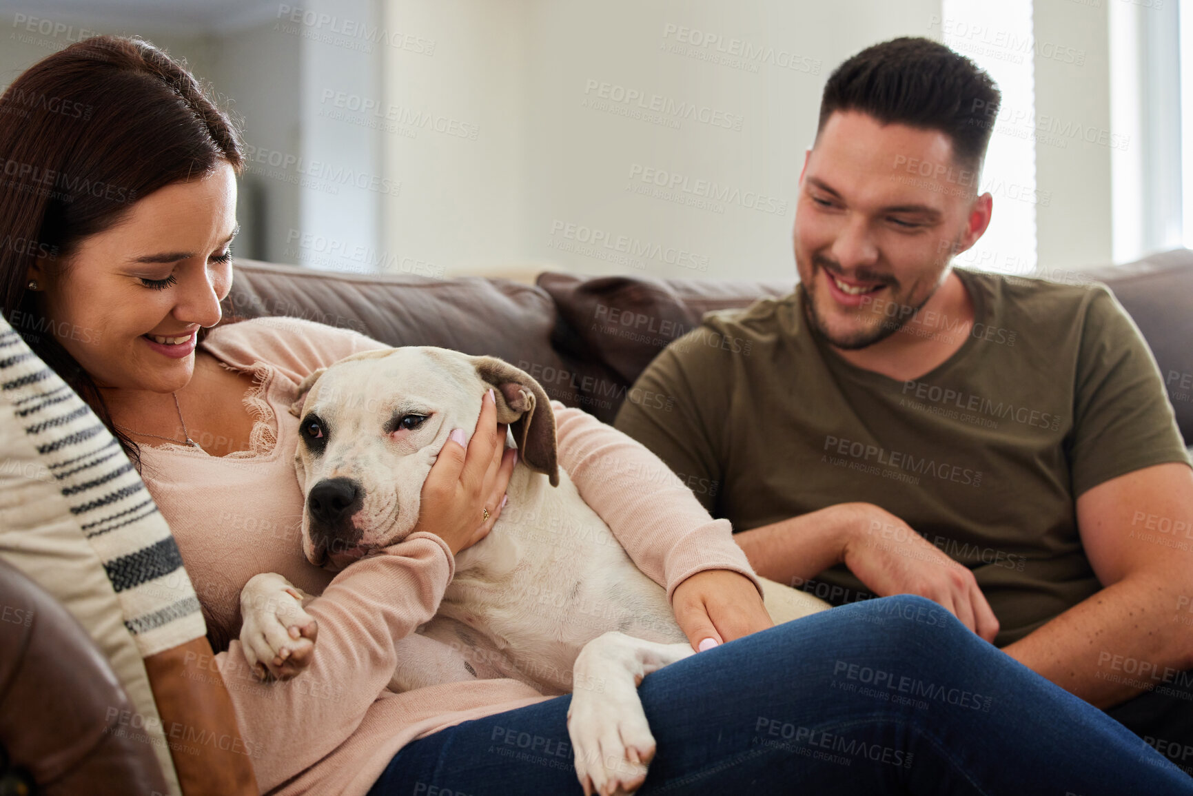 Buy stock photo Cropped shot of a dog sitting at home with his human parents