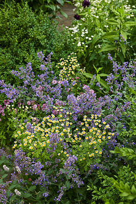 Buy stock photo A series of beautiful garden photos