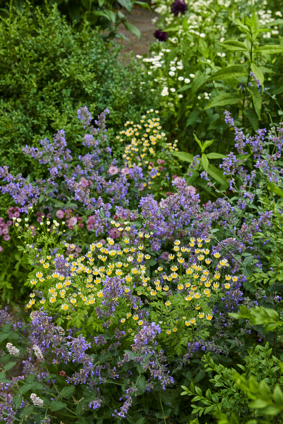 Buy stock photo A series of beautiful garden photos