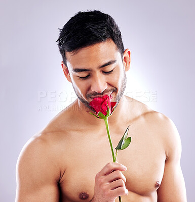 Buy stock photo Man, rose and shirtless body in studio for natural scent, luxury fragrance and cosmetic. Spanish model, flower and plant on white background with mockup space for organic skincare or designer cologne