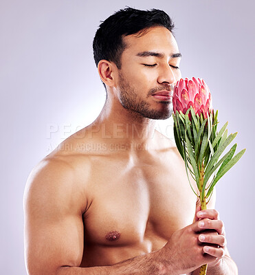 Buy stock photo Man, flowers and shirtless body in studio for natural scent, luxury fragrance and cosmetics. Spanish model, green and naked on background for organic aroma, personal hygiene and designer cologne