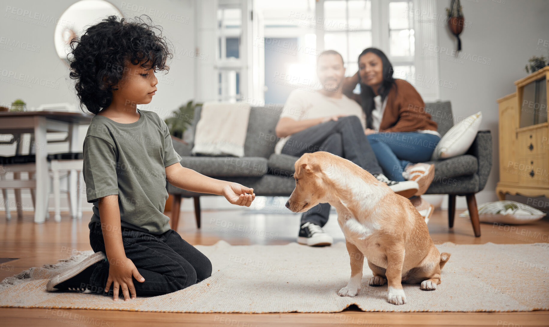 Buy stock photo Shot of a little boy bonding with his dog while his parents sit in the background