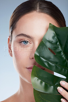 Buy stock photo Portrait, cover and palm leaf for woman in studio, healthy and smooth skin, plant and product for treatment. Blue background, soft or shine of face with nature for anti aging, dermatology or skincare