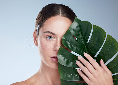 Buy stock photo Portrait, woman and leaf for clean beauty with vegan cosmetics, organic skincare and shine in studio. Model, sustainable dermatology and monstera for glow, eco facial and wellness by gray background