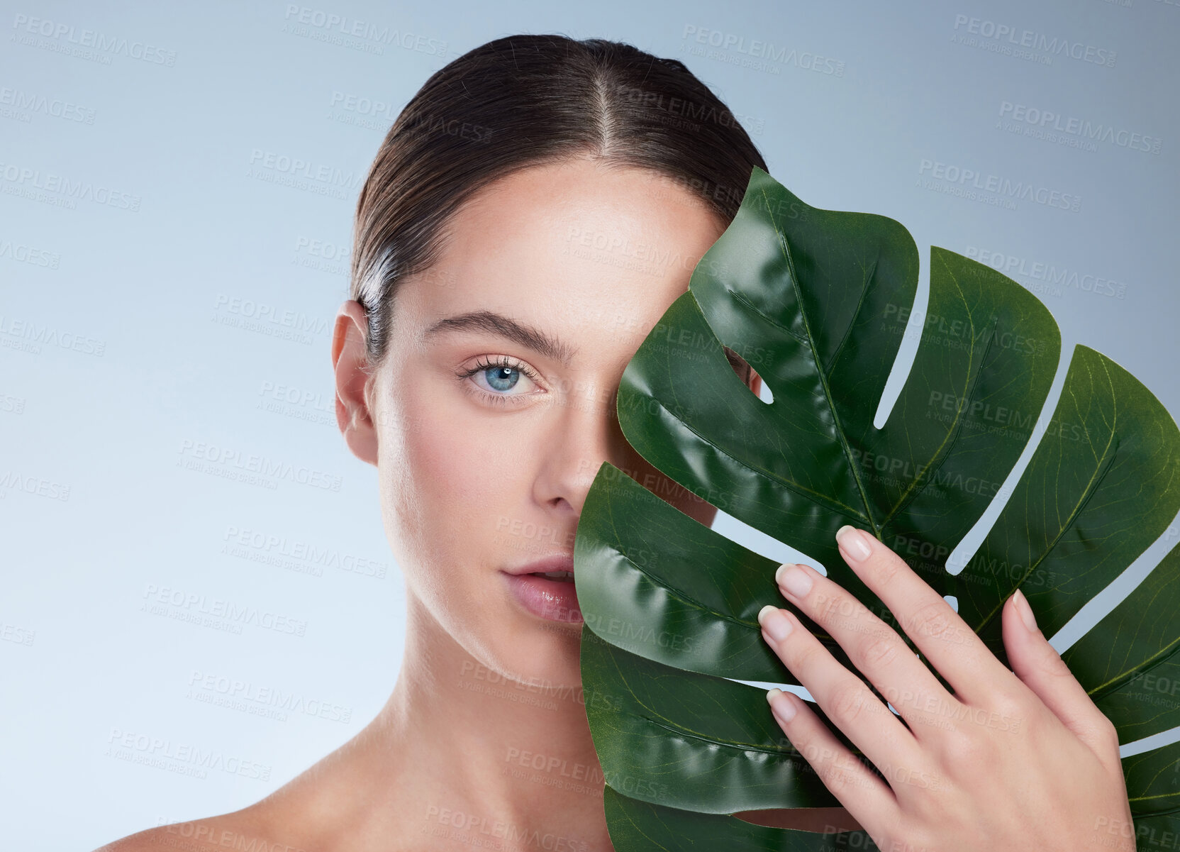 Buy stock photo Portrait, woman and leaf for clean beauty with vegan cosmetics, organic skincare and shine in studio. Model, sustainable dermatology and monstera for glow, eco facial and wellness by gray background