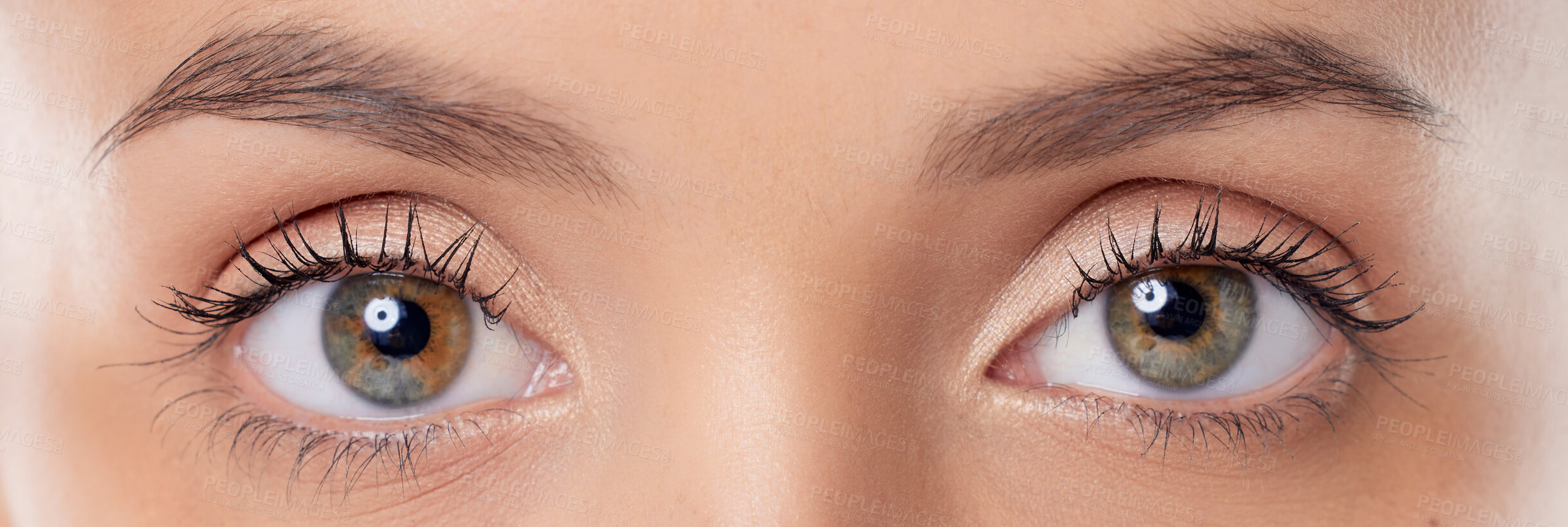 Buy stock photo Closeup shot of a young woman’s eyes against a grey background
