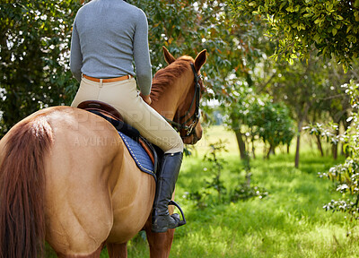 Buy stock photo Shot of a unrecognizable female riding a horse in a forest