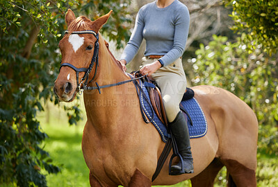 Buy stock photo Woman, horse riding and legs with saddle, adventure and transport at ranch in summer by trees. Person, equestrian and animal with boots for training, exercise or prepare for race at farm in Argentina