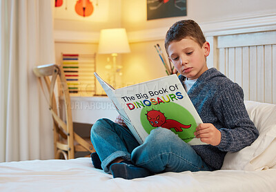 Buy stock photo Shot of a young boy reading a book about dinosaurs in a bedroom at home