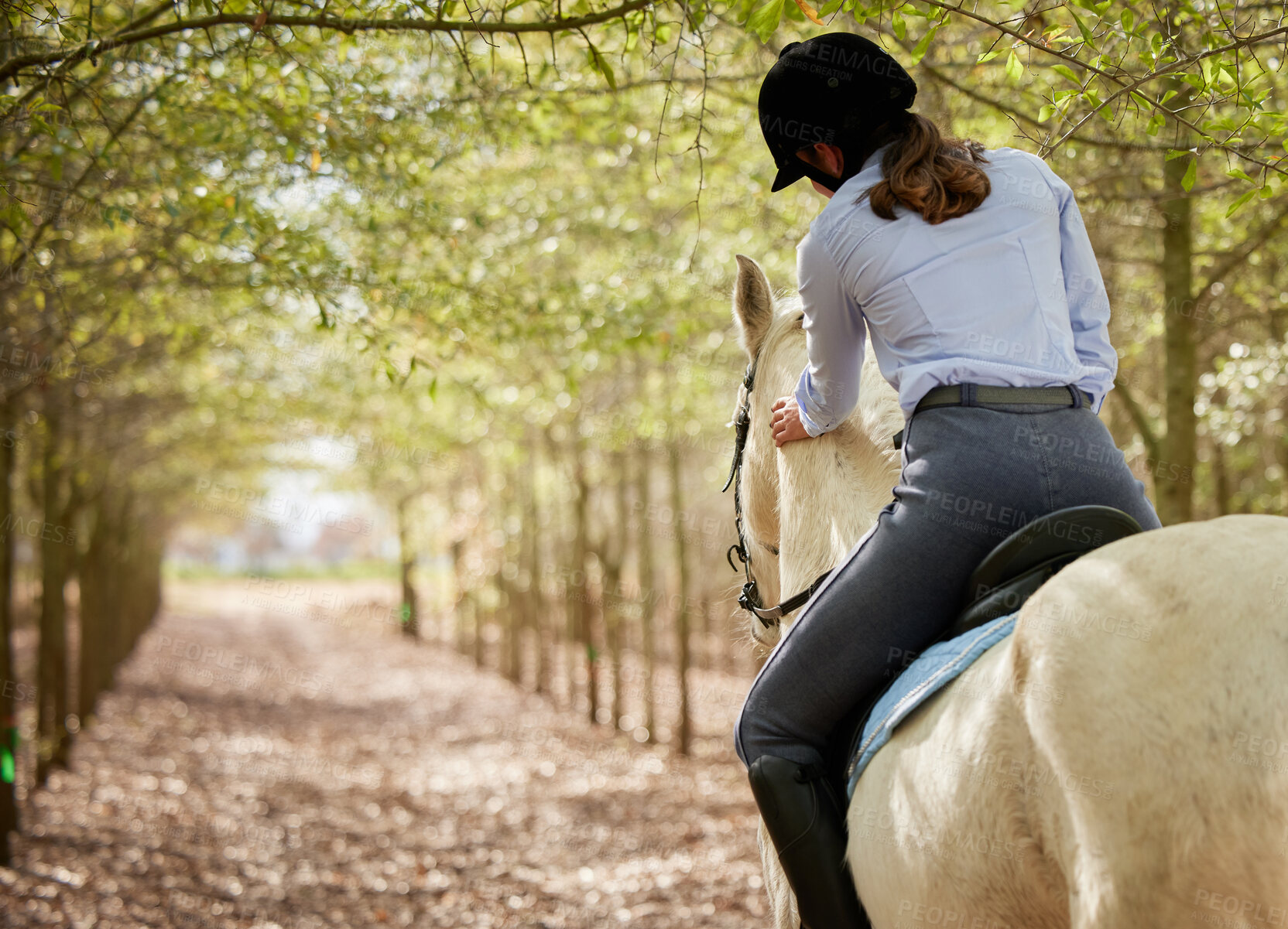 Buy stock photo Shot of an unrecognisable woman horseback riding through the forest during the day