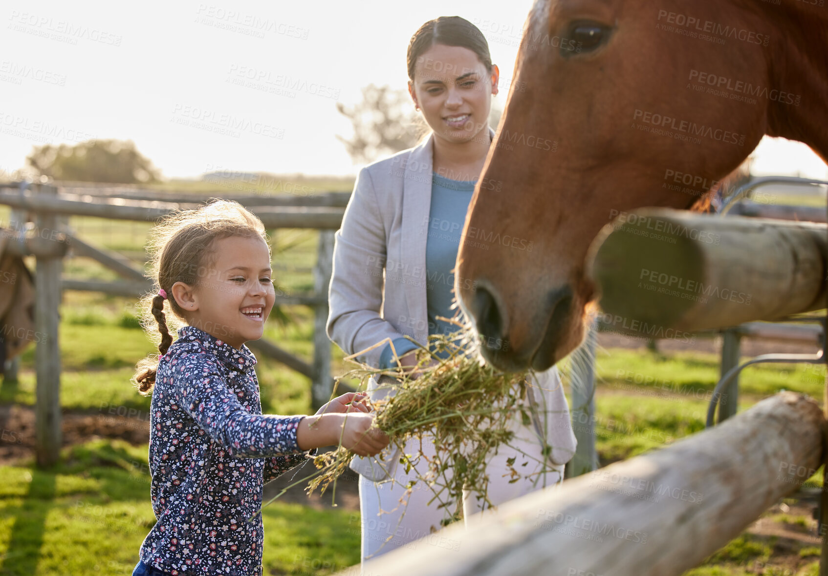 Buy stock photo Shot of an adorable little girl feeding a horse on her farm while her mother looks on