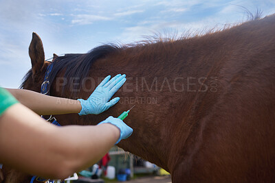 Buy stock photo Shot of a unrecognizable veterinarian doing a checkup on a horse on a farm