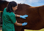 Veterinarians have long been considered the guardians of animal welfare