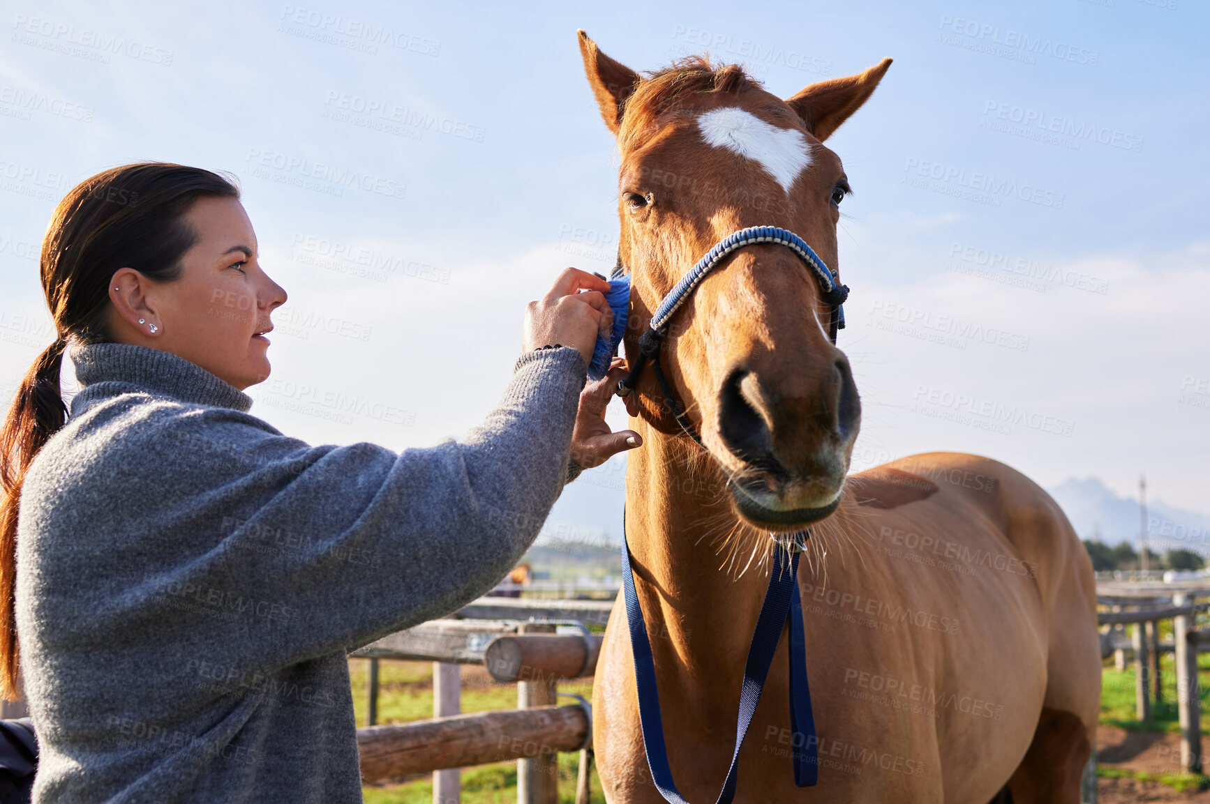 Buy stock photo Cropped shot of an attractive young woman brushing her horse outside on the ranch