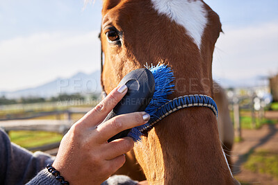 Buy stock photo Cropped shot of an unrecognizable woman brushing her horse outside on the ranch