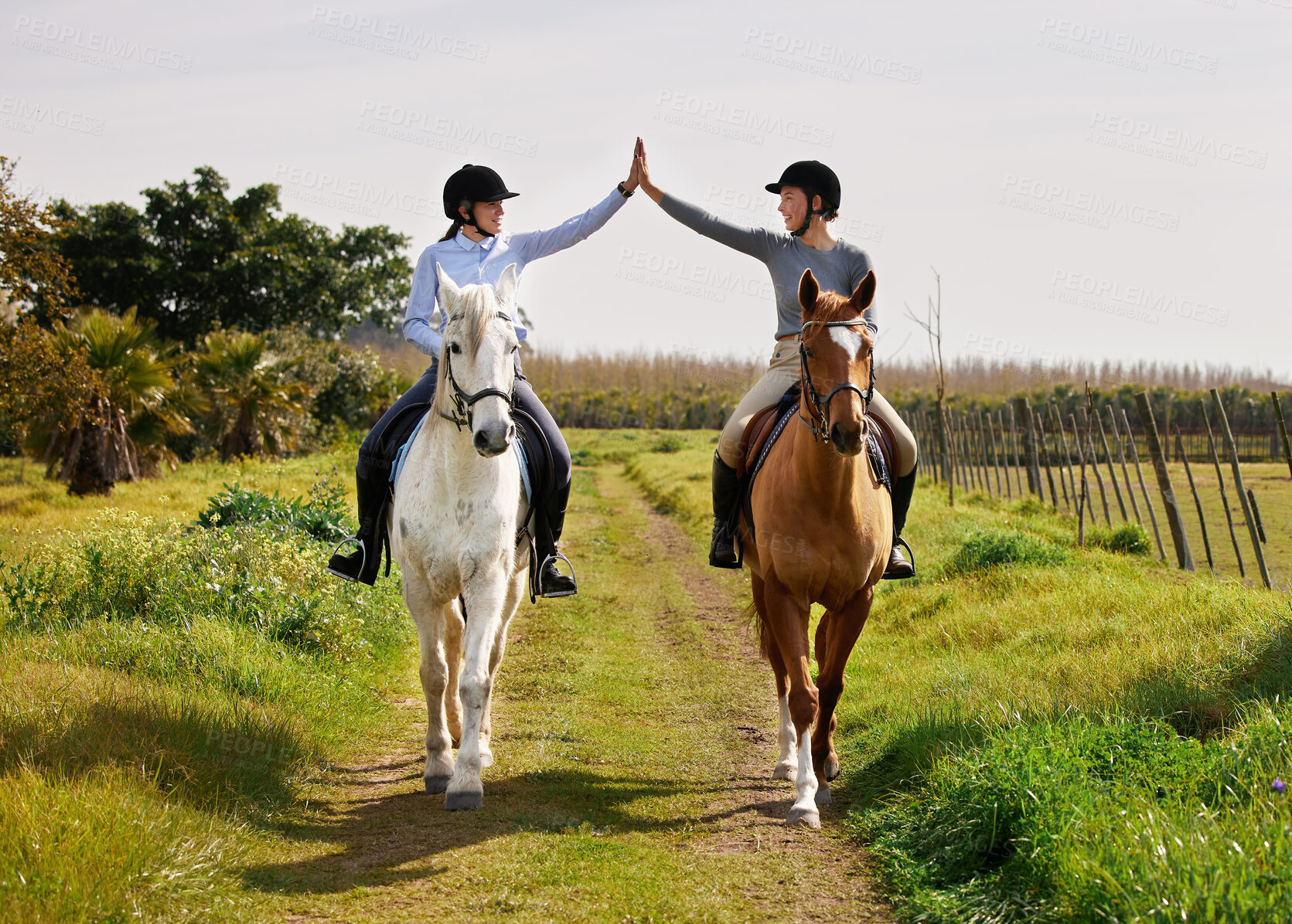 Buy stock photo Full length shot of two young woman high fiving while riding their horses on the ranch