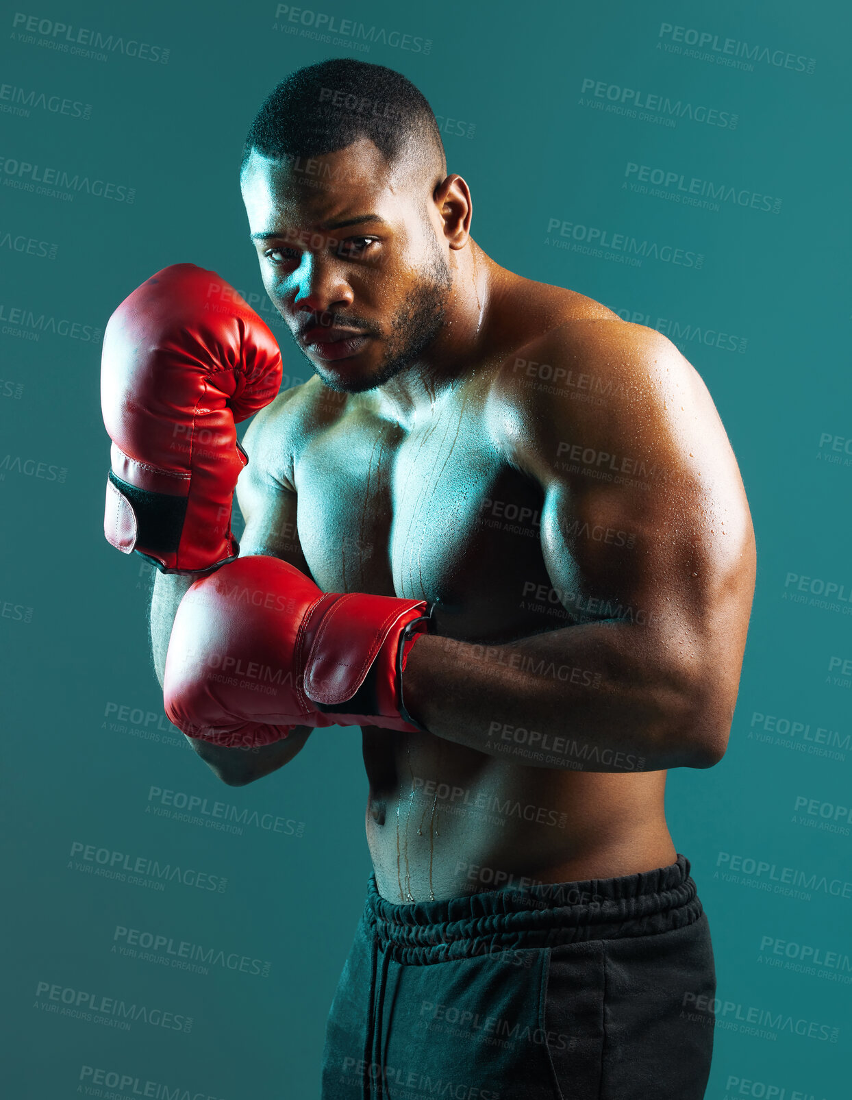 Buy stock photo Shot of a handsome young man boxing against a studio background