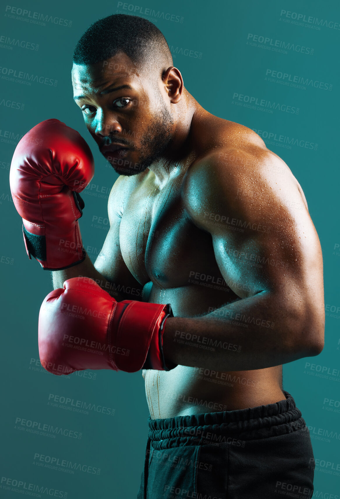 Buy stock photo Shot of a handsome young man boxing against a studio background