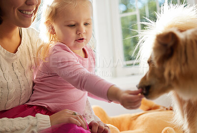 Buy stock photo Shot of a little girl sitting on her mother's lap while feeding their puppy