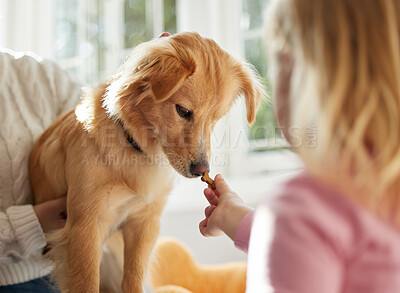 Buy stock photo Shot of a little girl giving her puppy and doggy treat