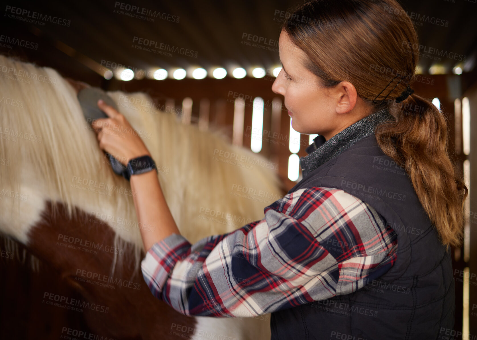 Buy stock photo Shot of a young woman brushing a horse in a barn