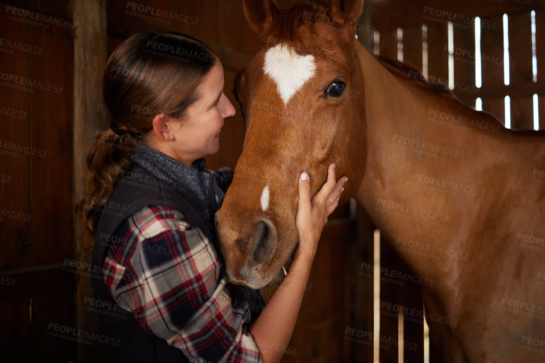 Buy stock photo Shot of a young woman petting a horse in a barn