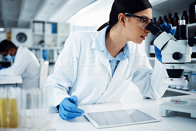 Buy stock photo Microscope, digital tablet and woman scientist in a laboratory for science, research and data analysis. Healthcare, investigation and female expert online for medical, innovation and development