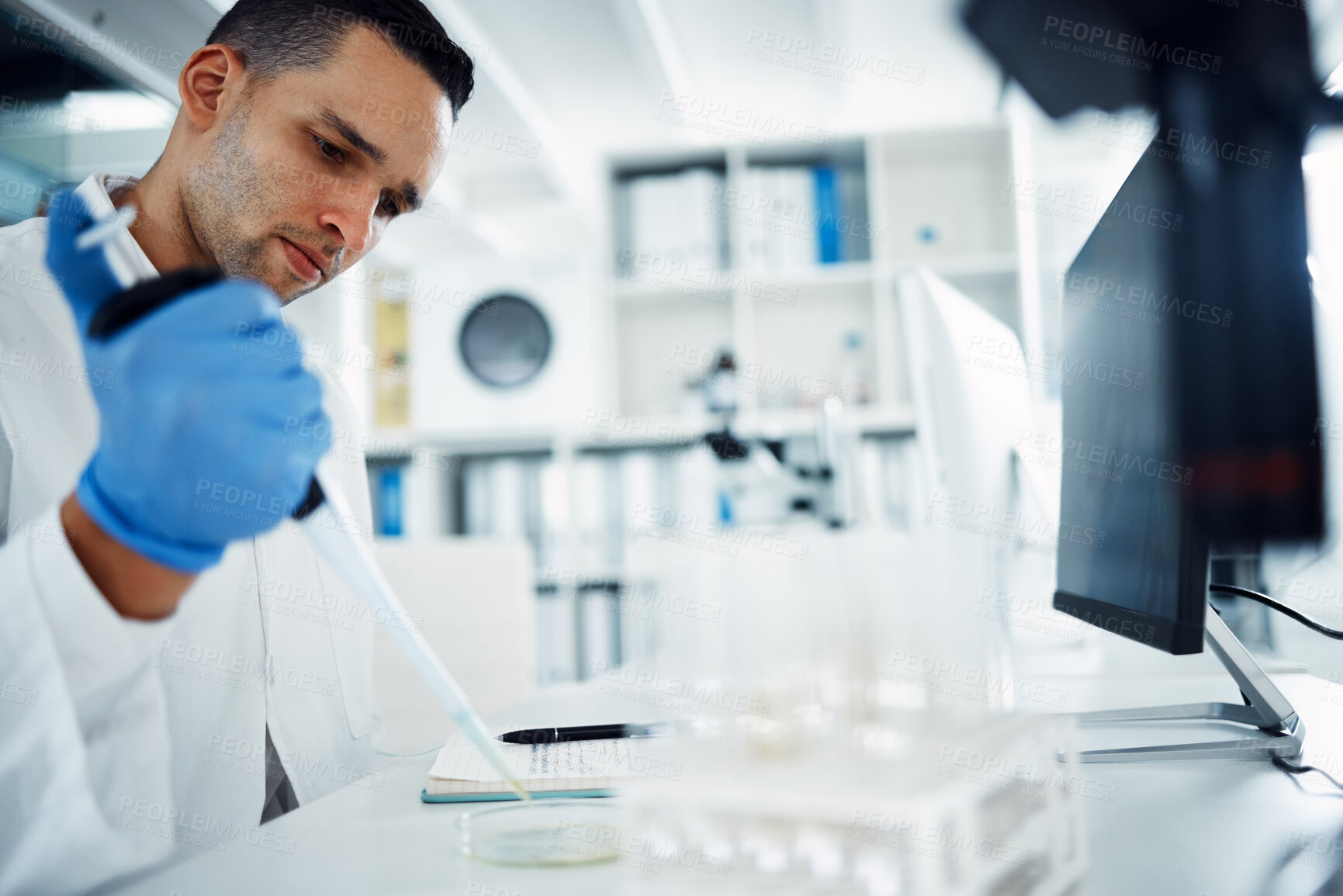 Buy stock photo Scientist, man and pipette on petri dish for research, test or chemical analysis for healthcare innovation in laboratory. Dropper, science and medical study of drugs, liquid or exam for biotechnology