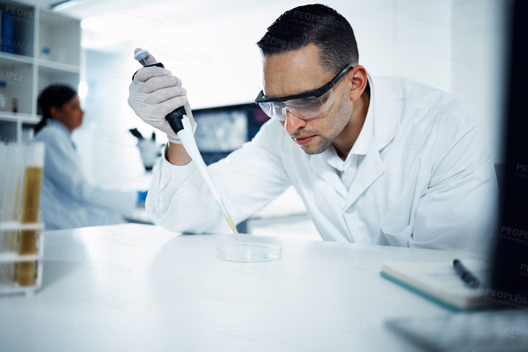 Buy stock photo Scientist, man and pipette on petri dish for research, test or chemical analysis for healthcare innovation in laboratory. Dropper, science and medical study of drugs, liquid or exam for biotechnology