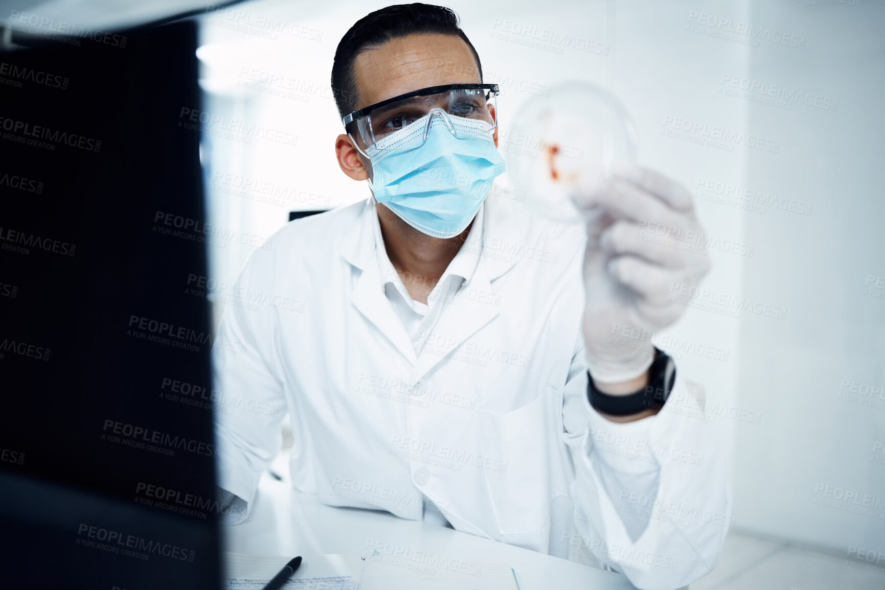 Buy stock photo Lab, microscope and scientist man in pathology career, experiment and blood sample with cultures for research study. Virus, bacteria and biotechnology innovation, professional with face mask