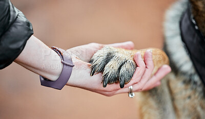 Buy stock photo Shot of a unrecognizable woman holding a dogs paw outside