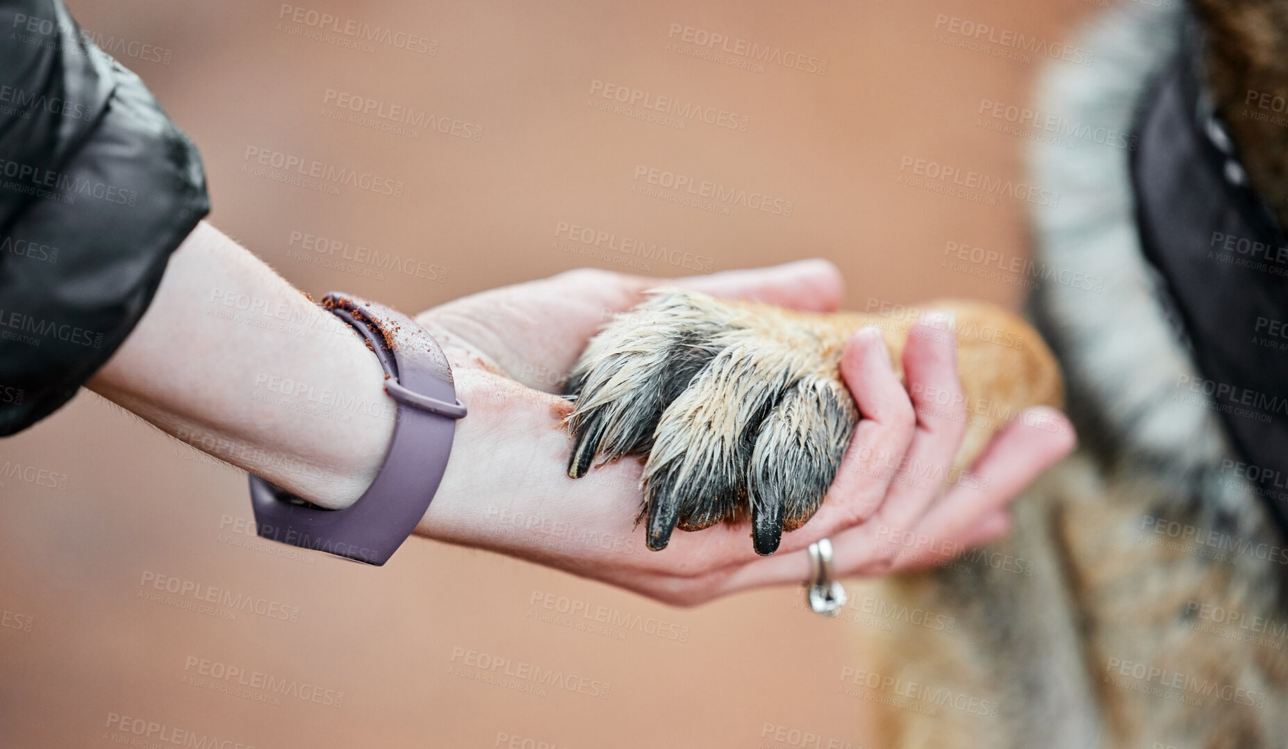 Buy stock photo Shot of a unrecognizable woman holding a dogs paw outside