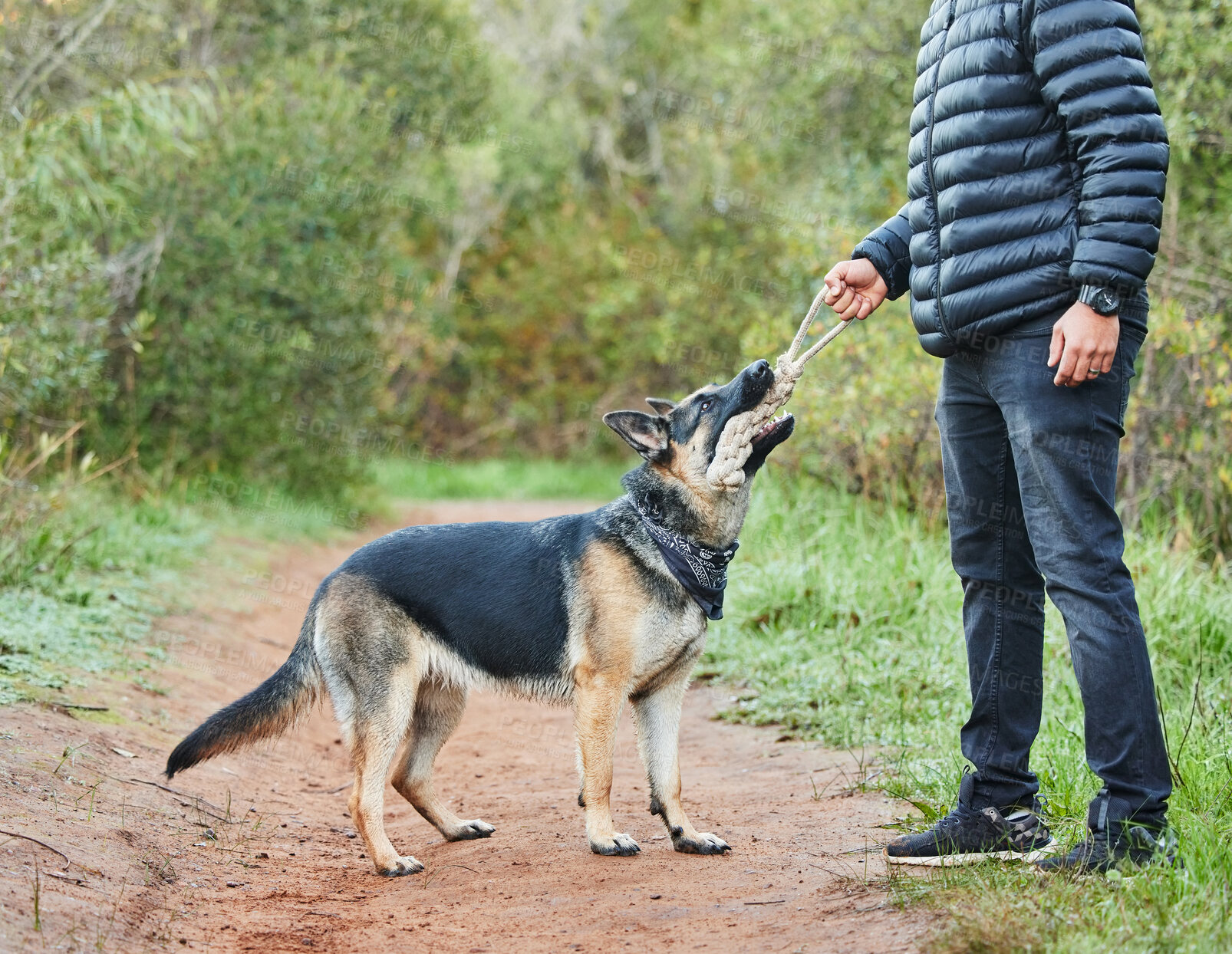 Buy stock photo Rope, animal training or dog playing with owner for tug of war, exercise and bonding outdoor. Person, pet or german shepherd in nature park together with toy for coaching, pulling and workout