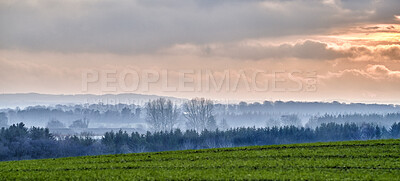 Buy stock photo A photo of green and lush forest in spring