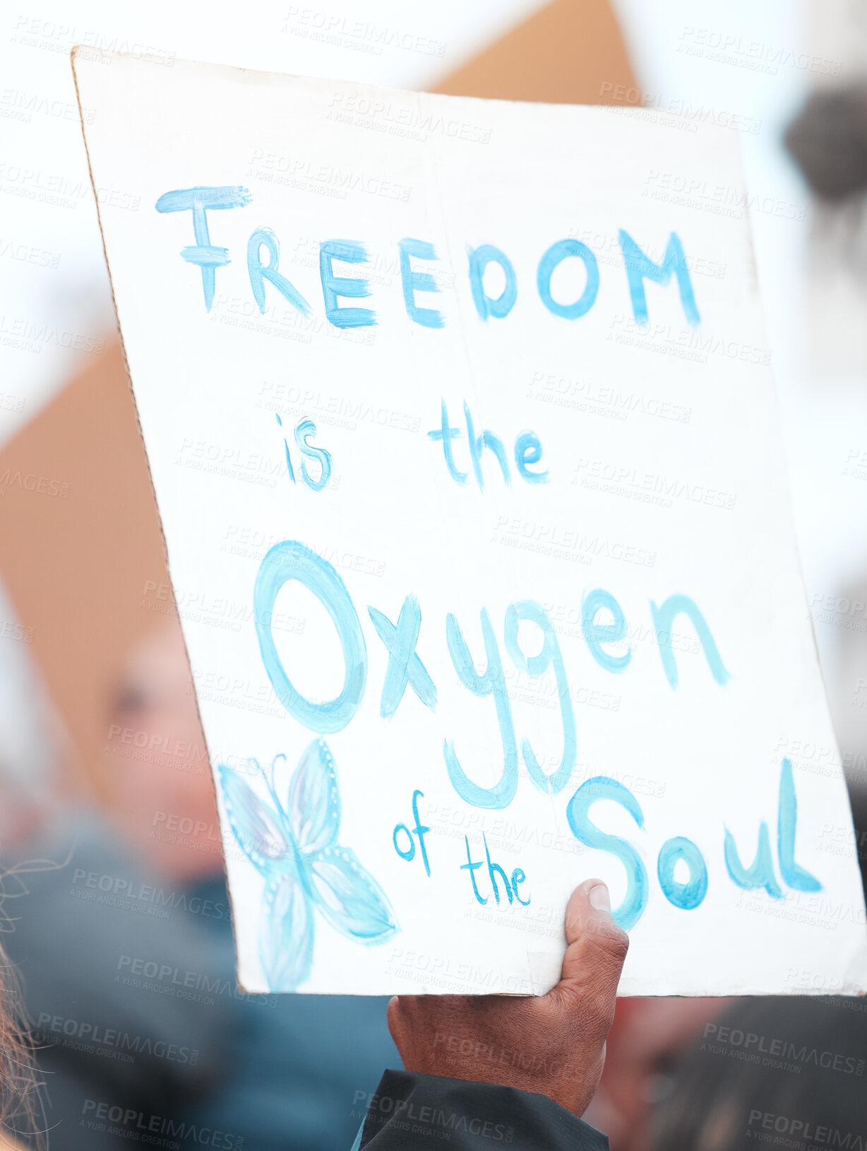 Buy stock photo Closeup, poster and climate change with protest, justice and freedom for ecology, sustainability and billboard. Support, person holding cardboard and march for environment, social event and community