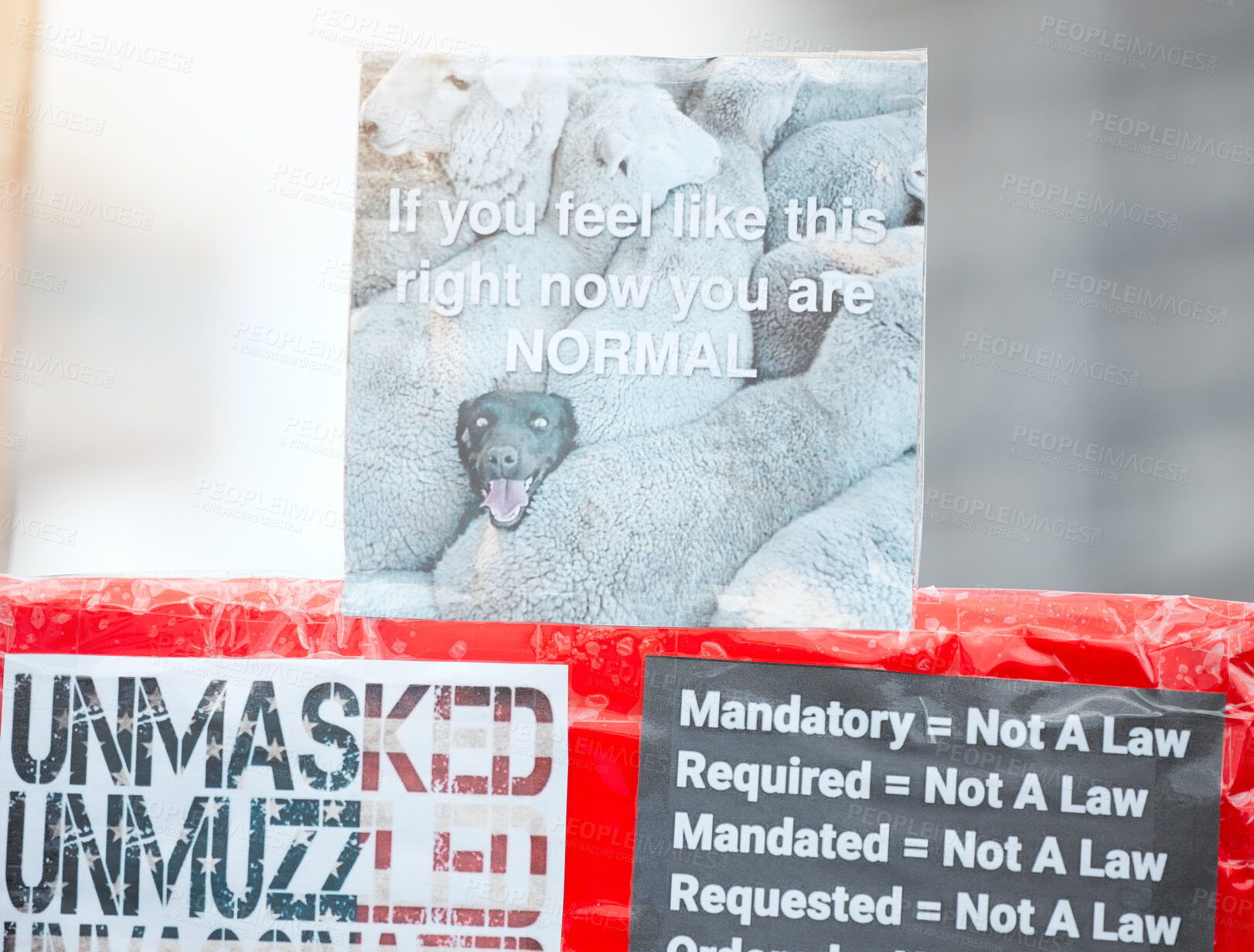 Buy stock photo Sign, poster and protest for covid vaccine or fight law of government, politics and force of medical autonomy. Opposition, advocacy and debate of social movement, community and resistance for choice.
