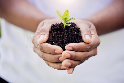 Buy stock photo Plant, growth and soil in hands for earth, environment or closeup on gardening care or working in agriculture, farming or nature. Farmer, hand and worker growing green, leaf and life in spring