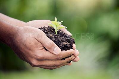 Buy stock photo Hands, plant and growth in soil for earth, environment or closeup on gardening care or working in agriculture, farming or nature. Farmer, hand and worker growing green, leaf and life in spring