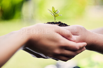 Buy stock photo Hands, growth and plant in soil for earth, environment or closeup on gardening care or working in agriculture, farming or nature. Farmer, hand and worker growing green, leaf and life in spring