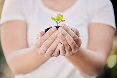 Buy stock photo Shot of an unrecognisable woman holding a plant growing out of soil