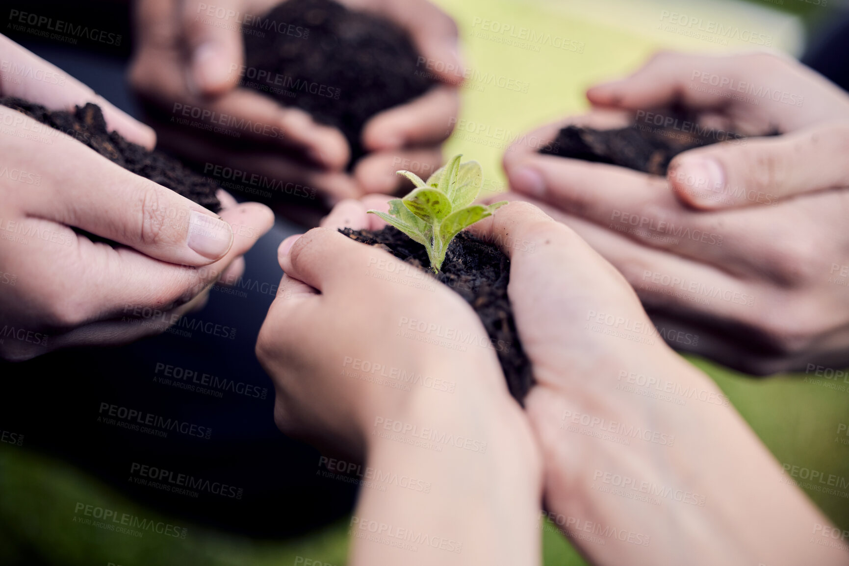 Buy stock photo Support, environment and plant with hands of business people for sustainability, earth day and growth. Volunteers, teamwork and service for group or soil for climate change, future and eco friendly