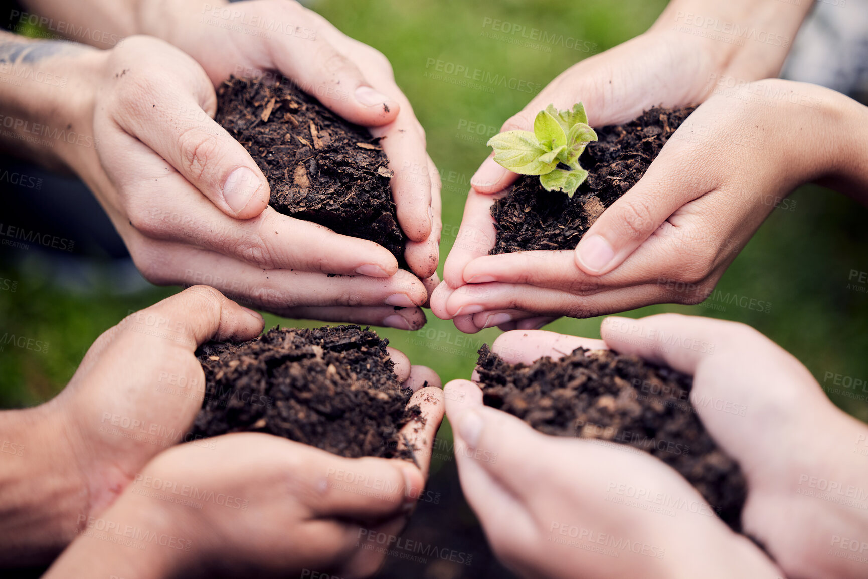 Buy stock photo Sustainability, hands or group in circle with soil for environmental support, collaboration and partnership. Eco friendly, teamwork or people together with plants for gardening and agriculture