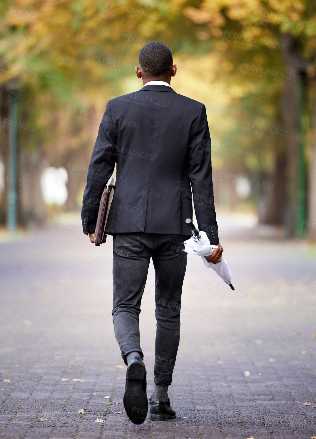 Buy stock photo Umbrella, nature and back of businessman walking to work in city park for winter weather. Trees, professional and male lawyer commuting in outdoor garden to office for legal career in urban town.