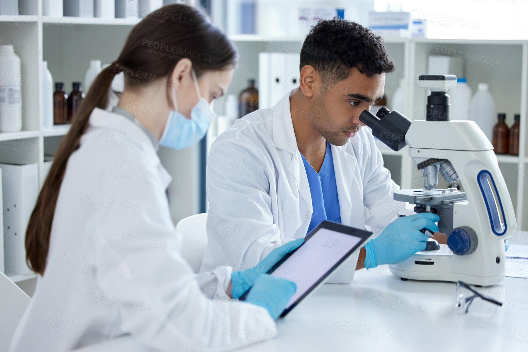 Buy stock photo Science, teamwork and people with tablet and microscope for research, medical study and discovery. Healthcare, pharmaceutical and scientist man and woman for vaccine, medicine or sample in laboratory