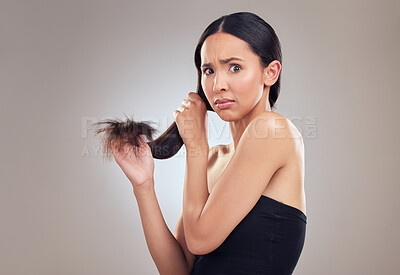 Buy stock photo Upset, portrait and woman in studio with split ends for keratin treatment and hair care on gray background. Cosmetics, trim and salon remedy for shine with worry, distress and unhappy for damage