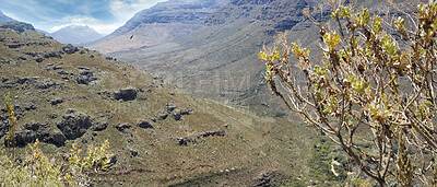 Buy stock photo Closeup of trees and plants growing on a mountain in the countryside during summer. Scenic landscape and panoramic view of a secluded and quiet natural environment with hills and boulders in nature